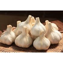 Amazon.co.jp: にんにく 平戸ニンニク 約500g入 : DIY・工具